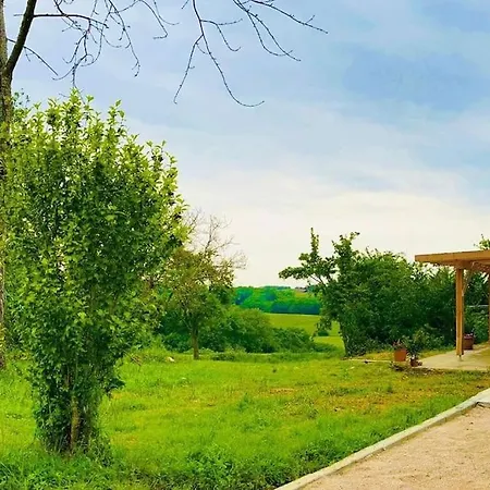 L'occitanette *